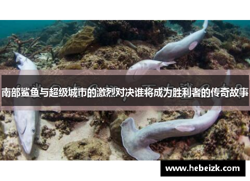 南部鲨鱼与超级城市的激烈对决谁将成为胜利者的传奇故事